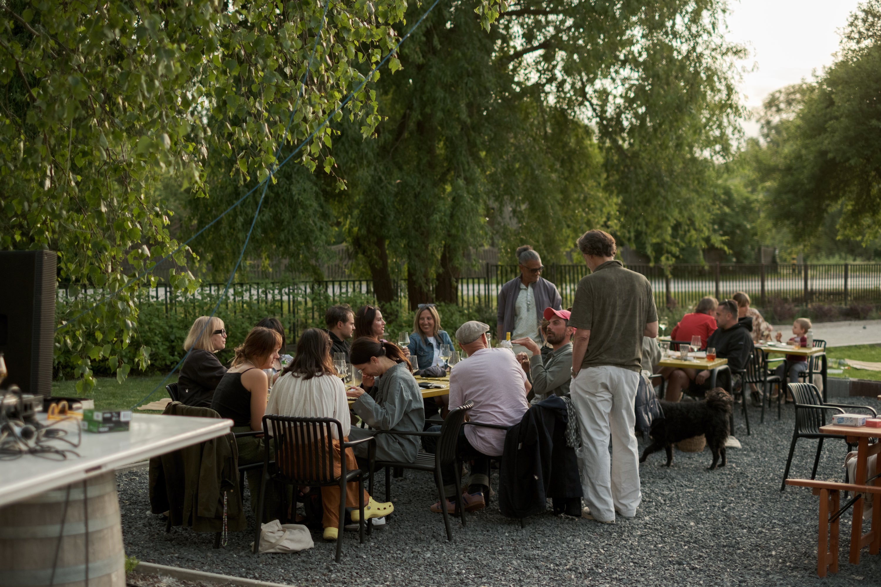 Guests at Gilvesy b-üzem enjoying organic wine, good food, music, and the good weather in the garden.