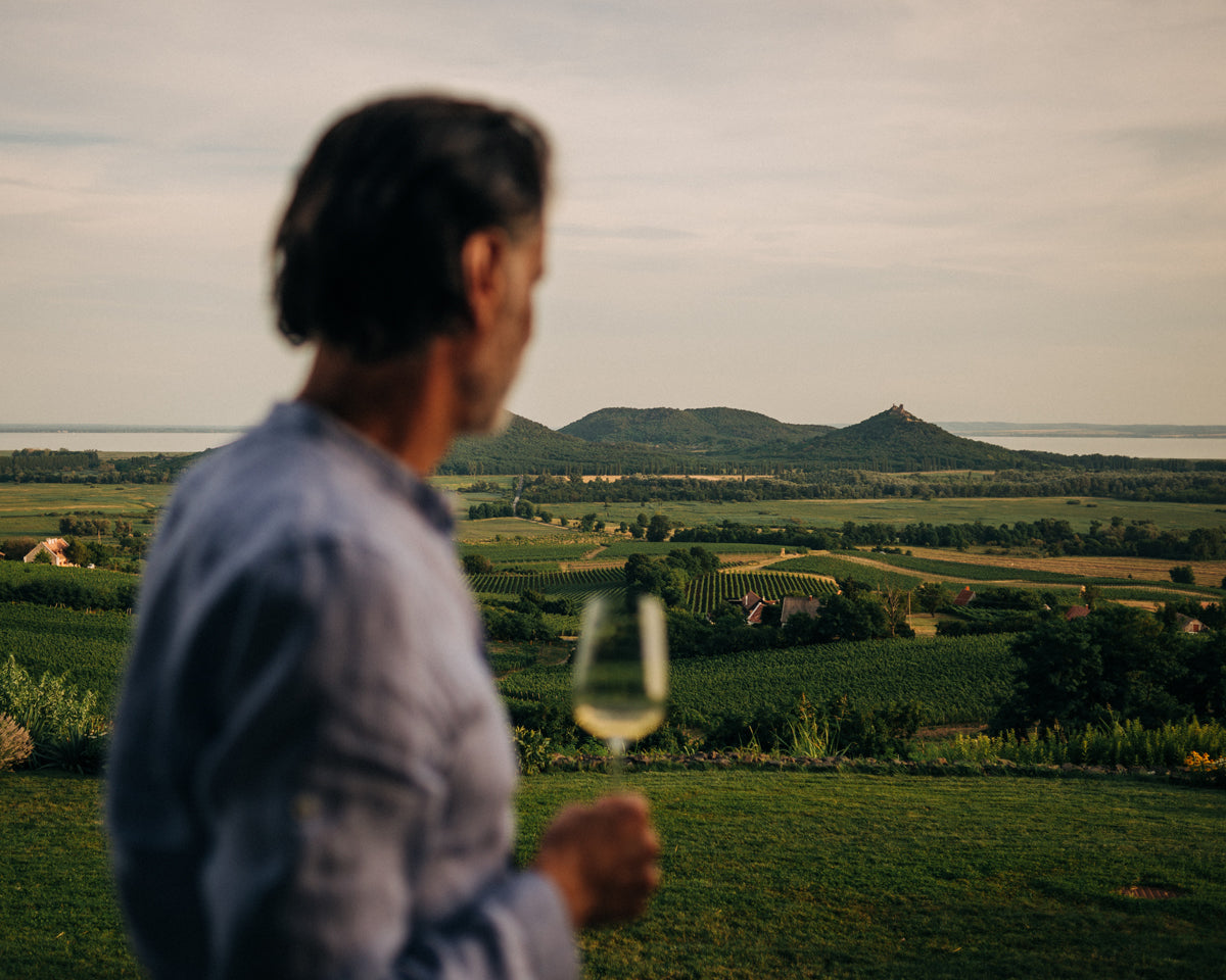 Robert Gilvesy pictured infront of panoramic landscape from Gilvesy estate.